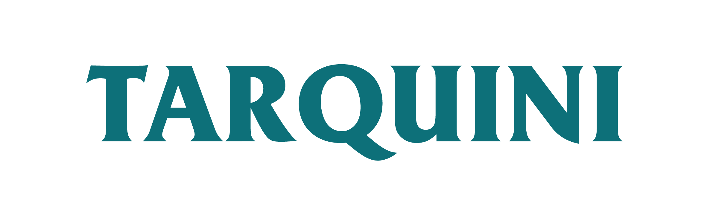 Logo Tarquini